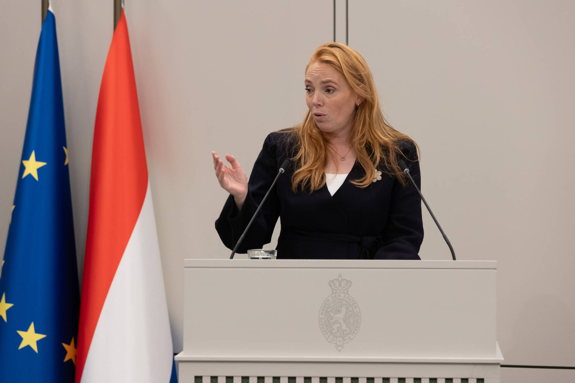 Senator Aerdts (D66)