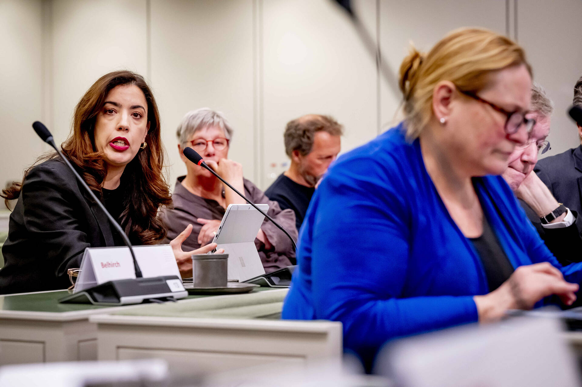 Kamerleden in gesprek met de deskundigen