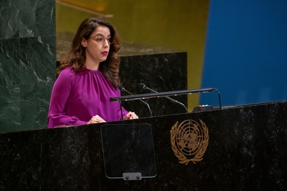 Senator Belhirch spreekt Verenigde Naties toe tijdens speciale vergadering