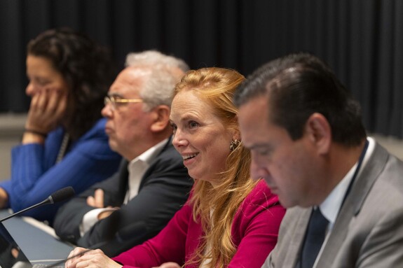 Senatoren tijdens de deskundigenbijeenkomst van de commissie EZK/KGG