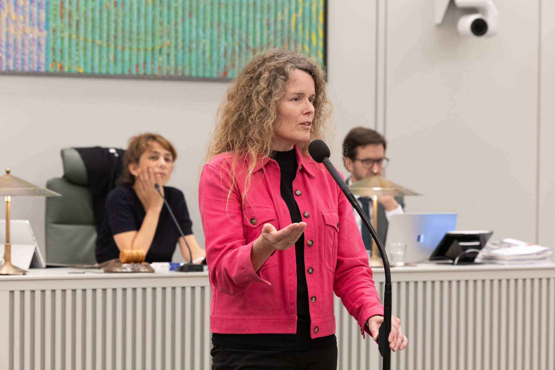Senator Visseren-Hamakers (Fractie-Visseren-Hamakers)