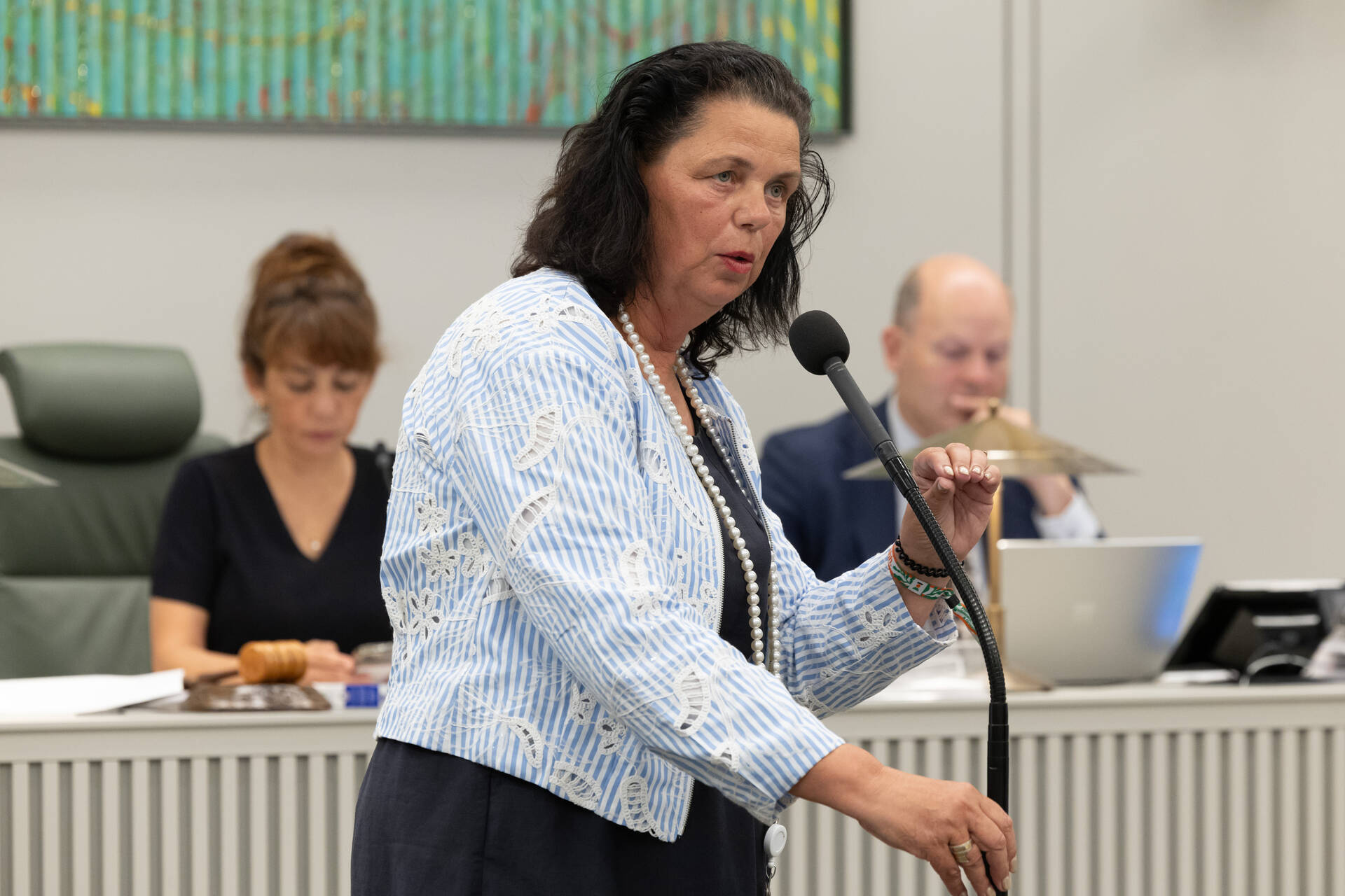 Senator Van Langen-Visbeek (BBB)
