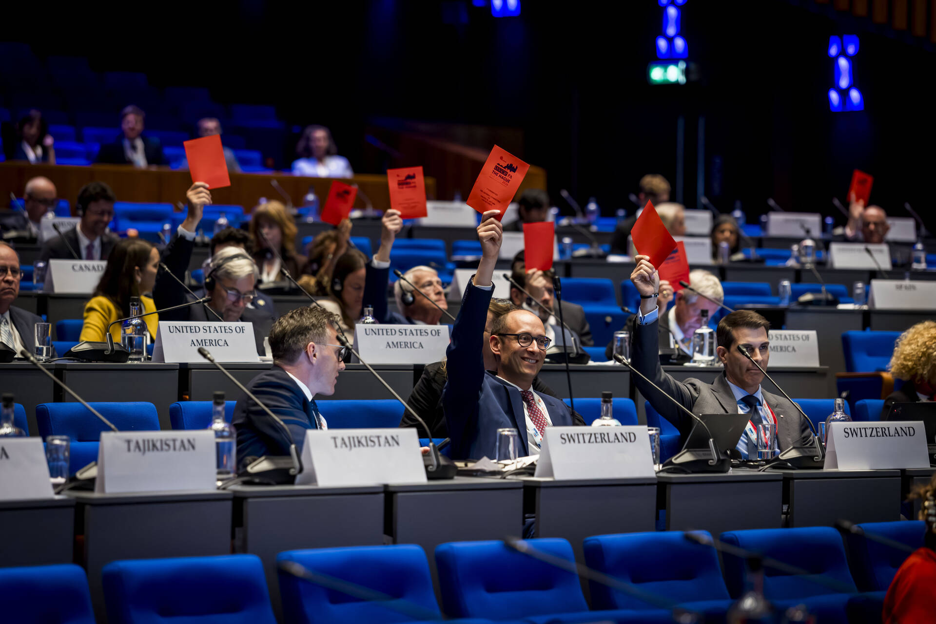 Stemming in de plenaire zaal